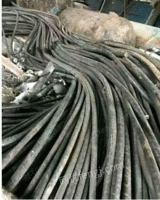 Dongying buys waste cables in cash