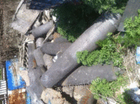 All kinds of graphite materials are recycled at high prices in China