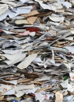 大量回收废纸 书本 报纸等