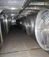 北京东城区速冻流态化隧道 每小时产量3吨 低价出售