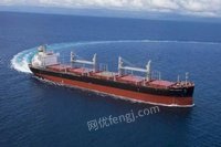 Disassembly and recovery of scrapped bulk carriers
