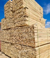 新疆阿勒泰长期出售各种木方模板钢管