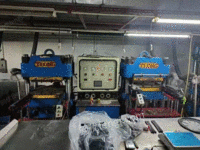 Special treatment 250 tons 2RT flat vulcanizer