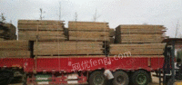 河南郑州出售新旧方木模板