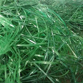 通用废塑料出售