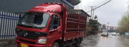 厢式货车/集装箱车出售