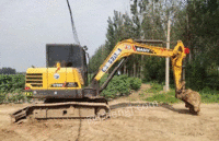 北京昌平区出售农村自己用的19年三一60挖掘机