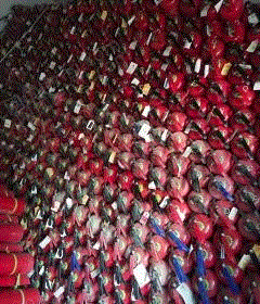 其它william hill威廉希尔价格