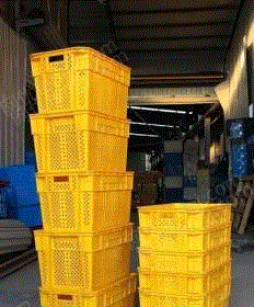 通用废塑料价格