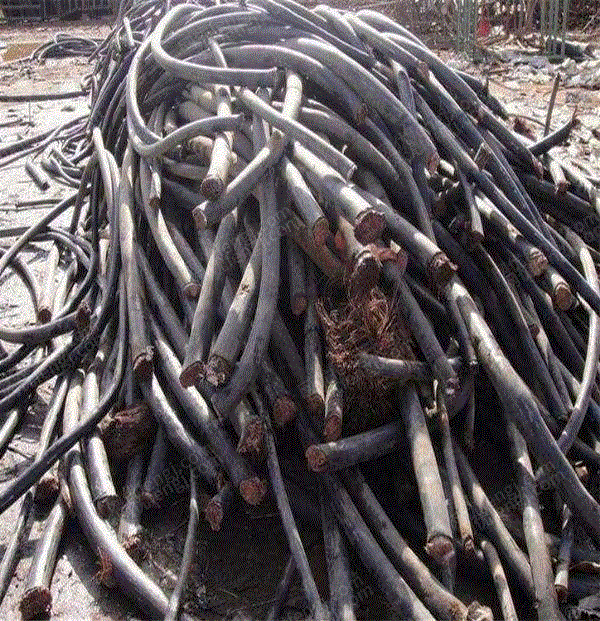 旧电线电缆出售