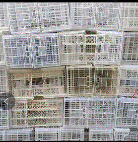 通用废塑料出售
