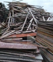 大量回收工地废模板 木方