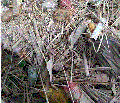 通用废塑料出售