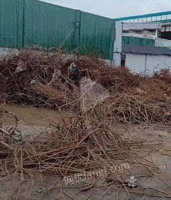 大量回收各种废钢筋 废铝 废铁