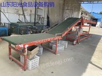 装车专用输送带出售