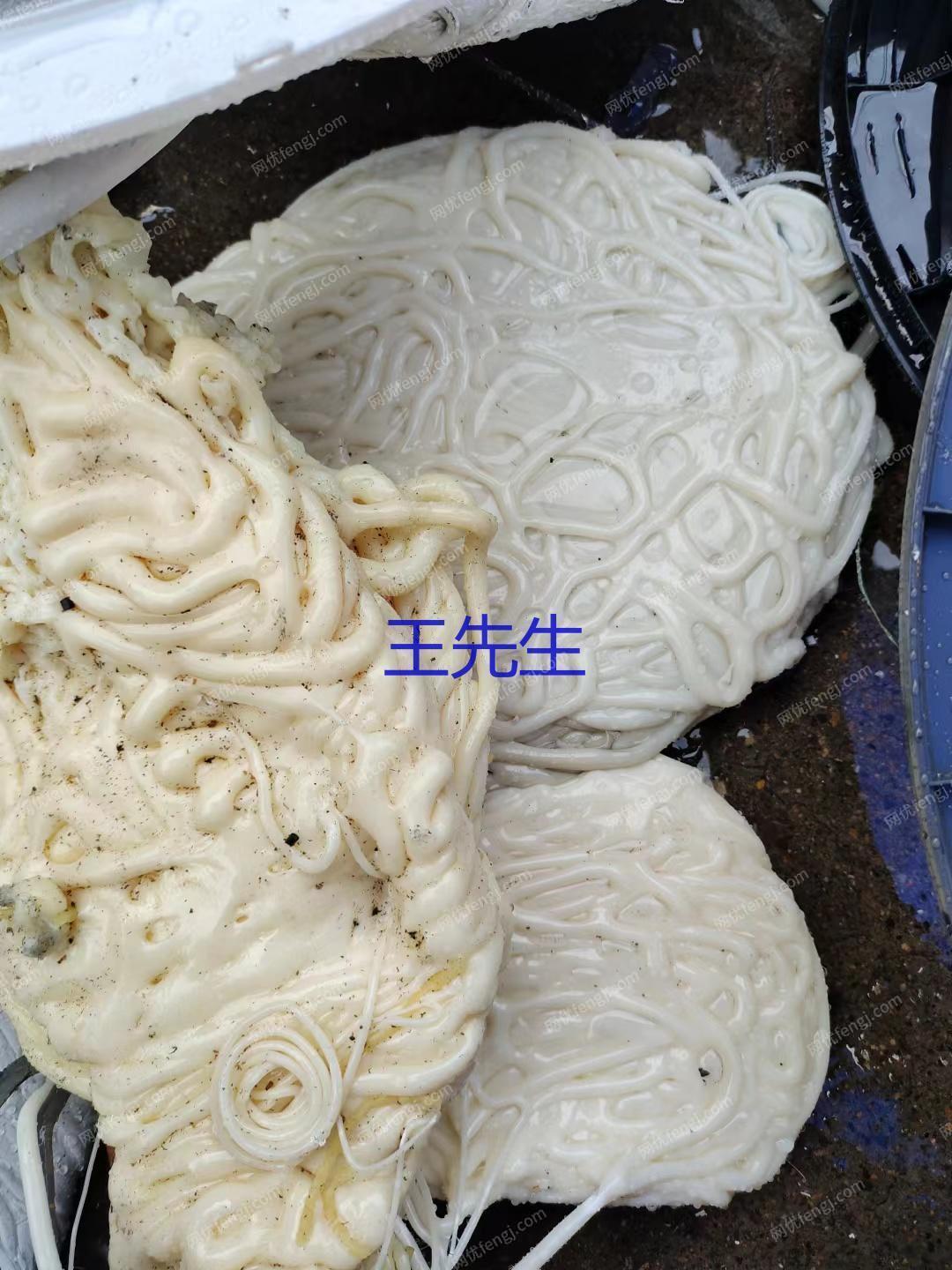 通用废塑料出售