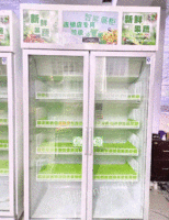 广西柳州因开店没多久就倒闭了，处理无人售货冰柜