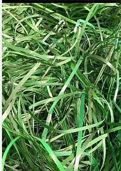 通用废塑料出售