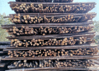 湖南株洲优价出售园林绿化杉木杆1.5米一5米，草绳，肥料，旧木方，模板等