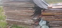 浙江绍兴专业回收各种废木方模板、木托盘、木刨花等废木材