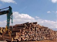 盐源县林草公司木材一批（标的4）网络处理招标
