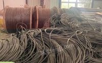 山东长期回收电缆