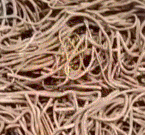 生活废铁出售