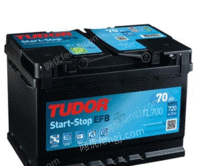TUDOR蓄电池电瓶TG2150/200AH/1160德国进口原装产品售后无忧