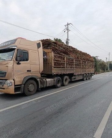 普通货车（大货）出售