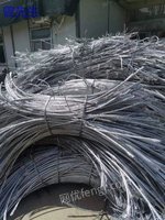 泉州求购废电线电缆