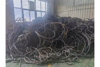 长期面向江西及周边地区购销各种铜电线电缆，铝电线电缆等