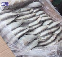 全国购销大量罚没海鲜冻品