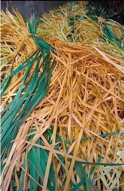 通用废塑料出售