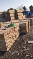泰州回收工地木方一批
