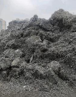 废不锈钢出售