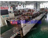 洲泰600型三边封·双补底自立·拉链制袋机制袋机