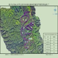 桂平市垌心乡坪冲林场4宗林地合作经营（12年）项目