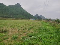 上林振林（粤桂）生态产业园地块1(GXCQJY24-205-1)招标公告