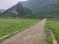上林振林（粤桂）生态产业园地块1(GXCQJY24-205-1)招标公告