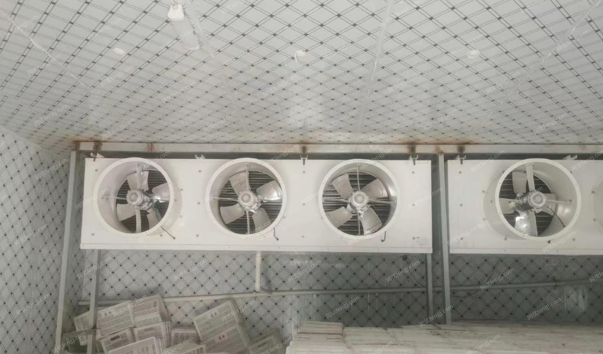河北石家庄出售一个50平米的速冻冷库