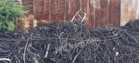50吨废钢丝绳处置招标
