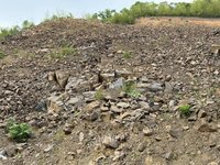 安吉县杭垓镇和村村茅棚地质灾害点治理工程涉及外运的矿产品招标公告
