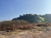 6月14日
鉴湖街道芳泉村上十亩山塘边坡生态综合治理工程砂石土出让处理招标