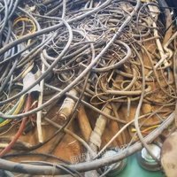 05月20日13:30废旧铜芯电缆(0.4吨)山东济钢泰航合金有限公司处置