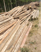 山东济南出售建筑木材，烧柴，淄博大瓦，松木板，方木