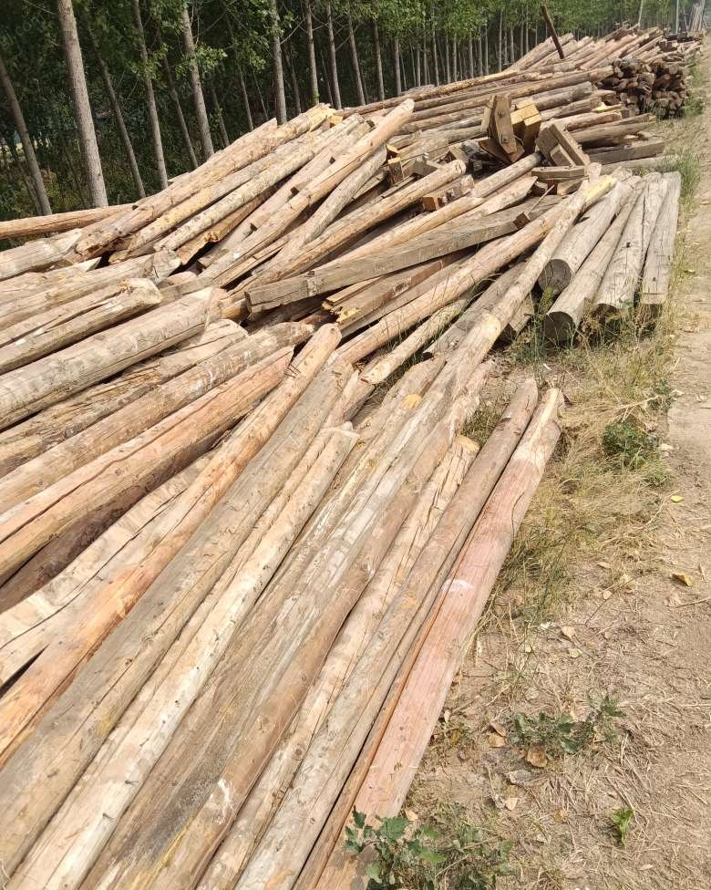山东济南出售建筑木材，烧柴，淄博大瓦，松木板，方木