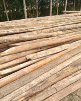 山东济南出售建筑木材，烧柴，淄博大瓦，松木板，方木