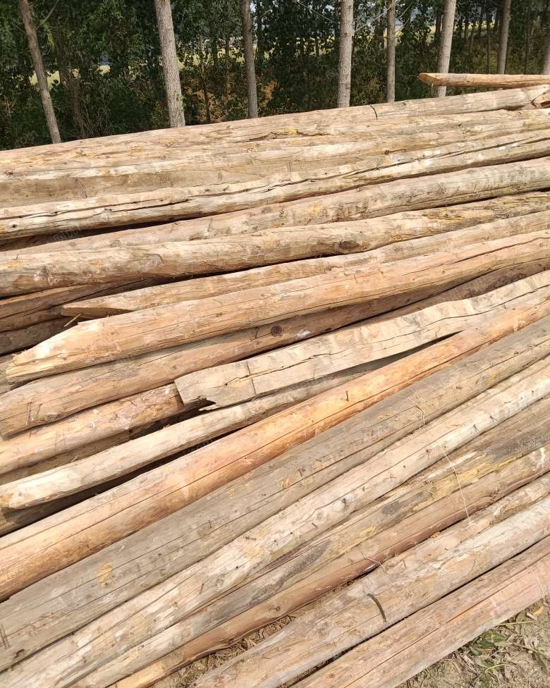 山东济南出售建筑木材，烧柴，淄博大瓦，松木板，方木