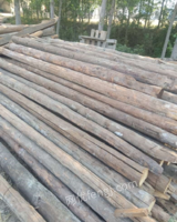 山东济南出售建筑木材，烧柴，淄博大瓦，松木板，方木