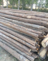 山东济南出售建筑木材，烧柴，淄博大瓦，松木板，方木